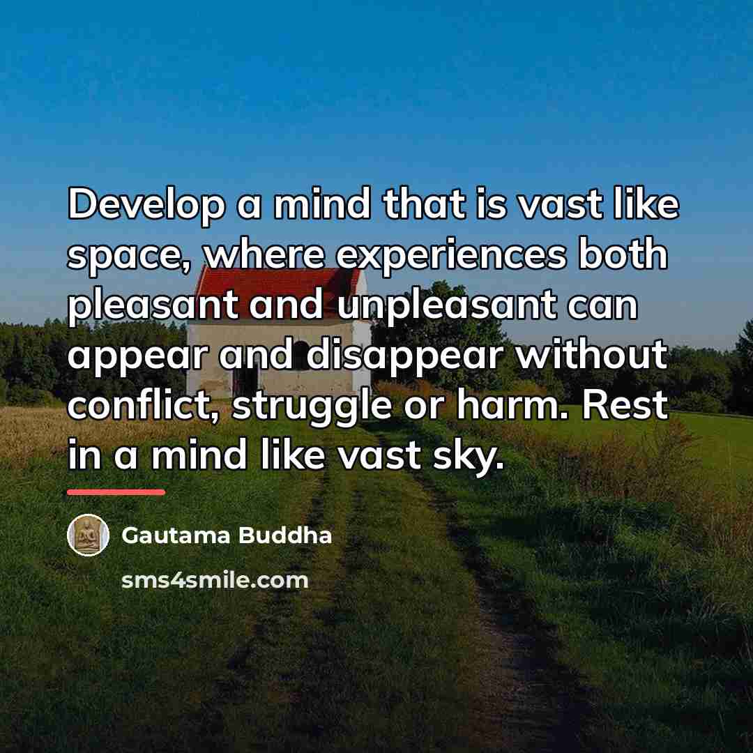 “Develop a mind that is vast like space, where experiences…” quote by Gautama Buddha