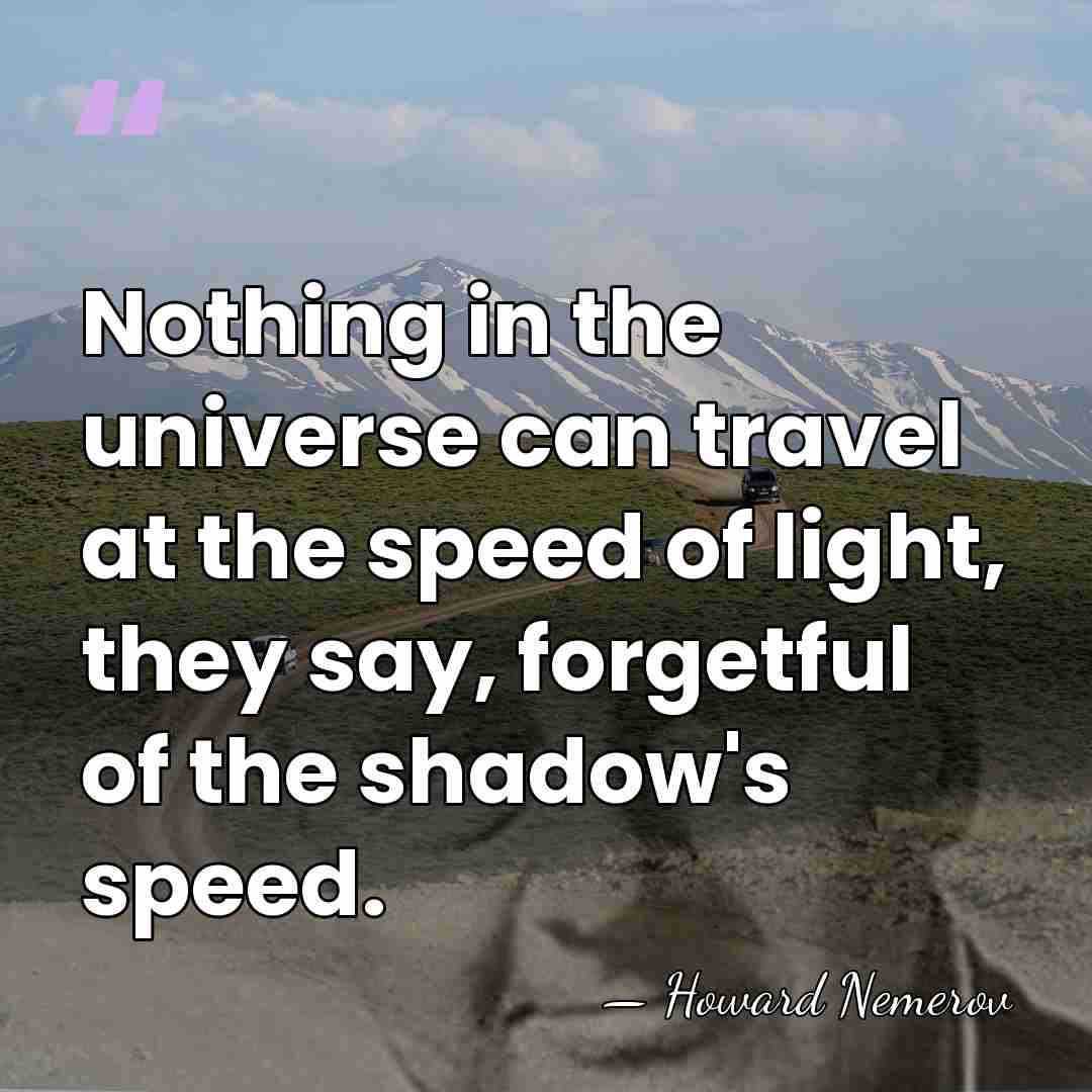 Nothing in the universe can travel at the speed of light, they&hellip; - Howard Nemerov