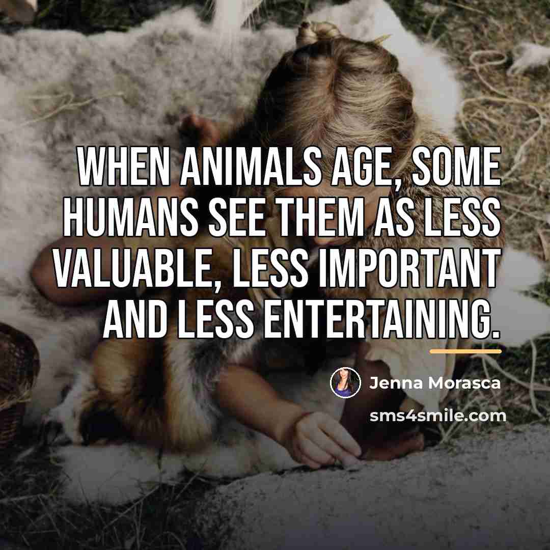 “When animals age, some humans see them as less valuable,…” quote by Jenna Morasca