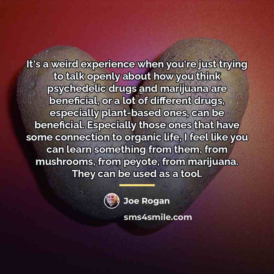 “It's a weird experience when you're just trying to talk…” quote by Joe Rogan