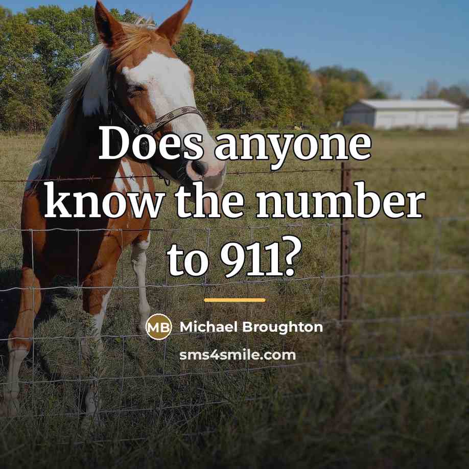 “Does anyone know the number to 911?…” quote by Michael Broughton