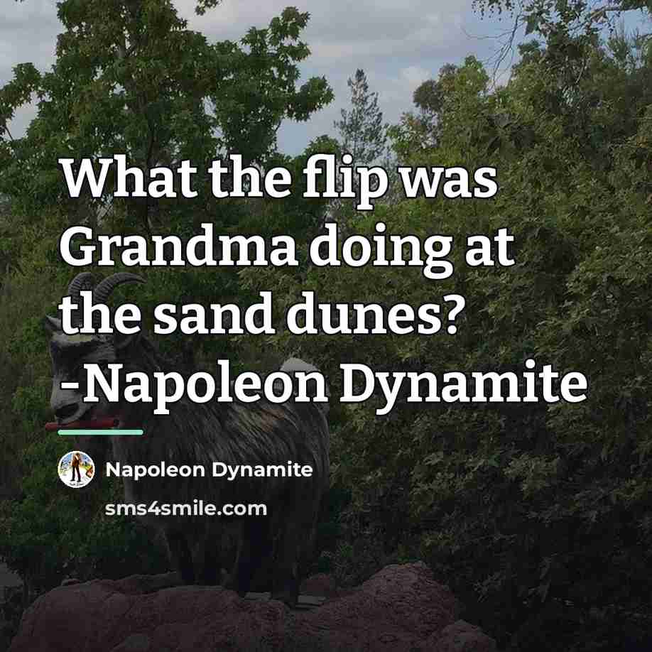 “What the flip was Grandma doing at the sand dunes?…” quote by Napoleon Dynamite