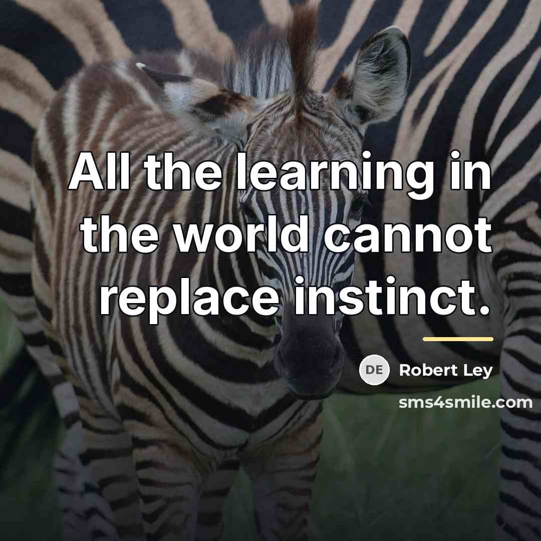 “All the learning in the world cannot replace instinct.…” quote by Robert Ley