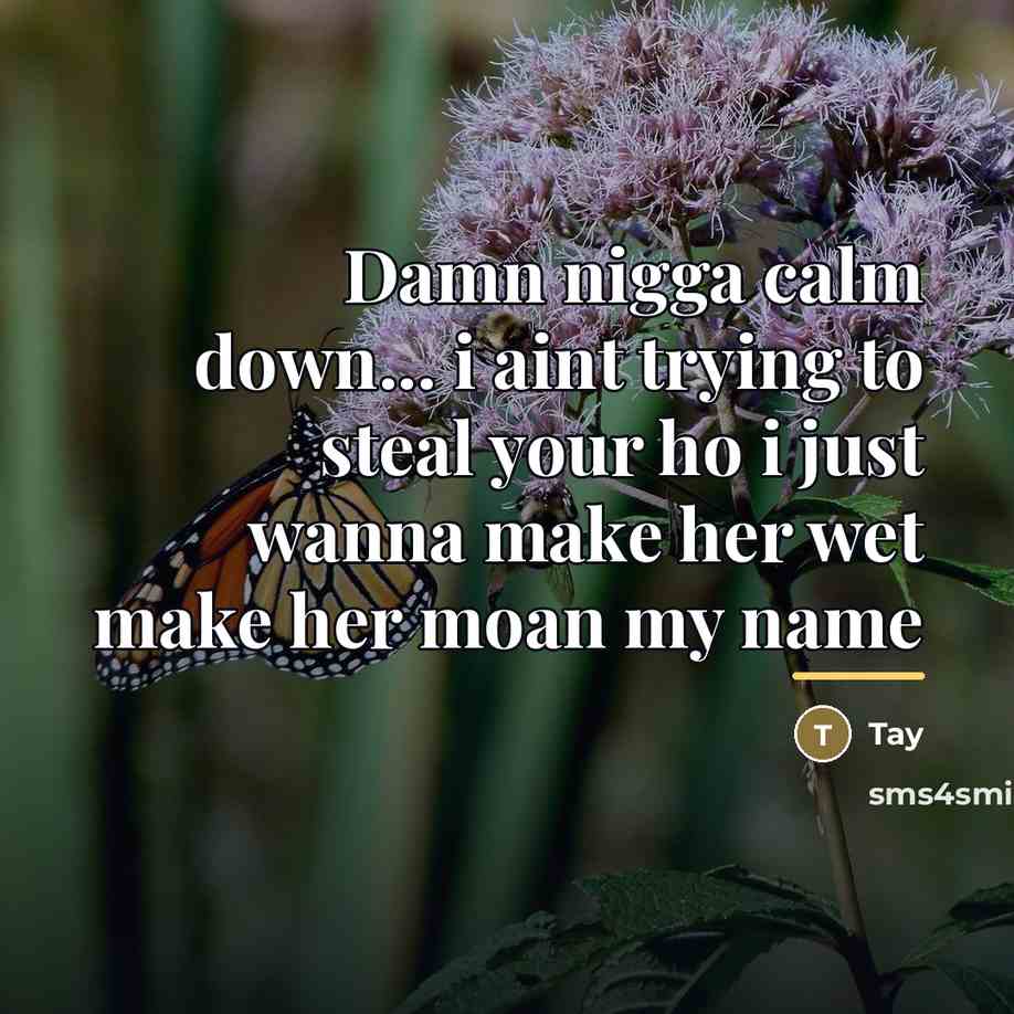 “Damn nigga calm down... i aint trying to steal your…” quote by Tay