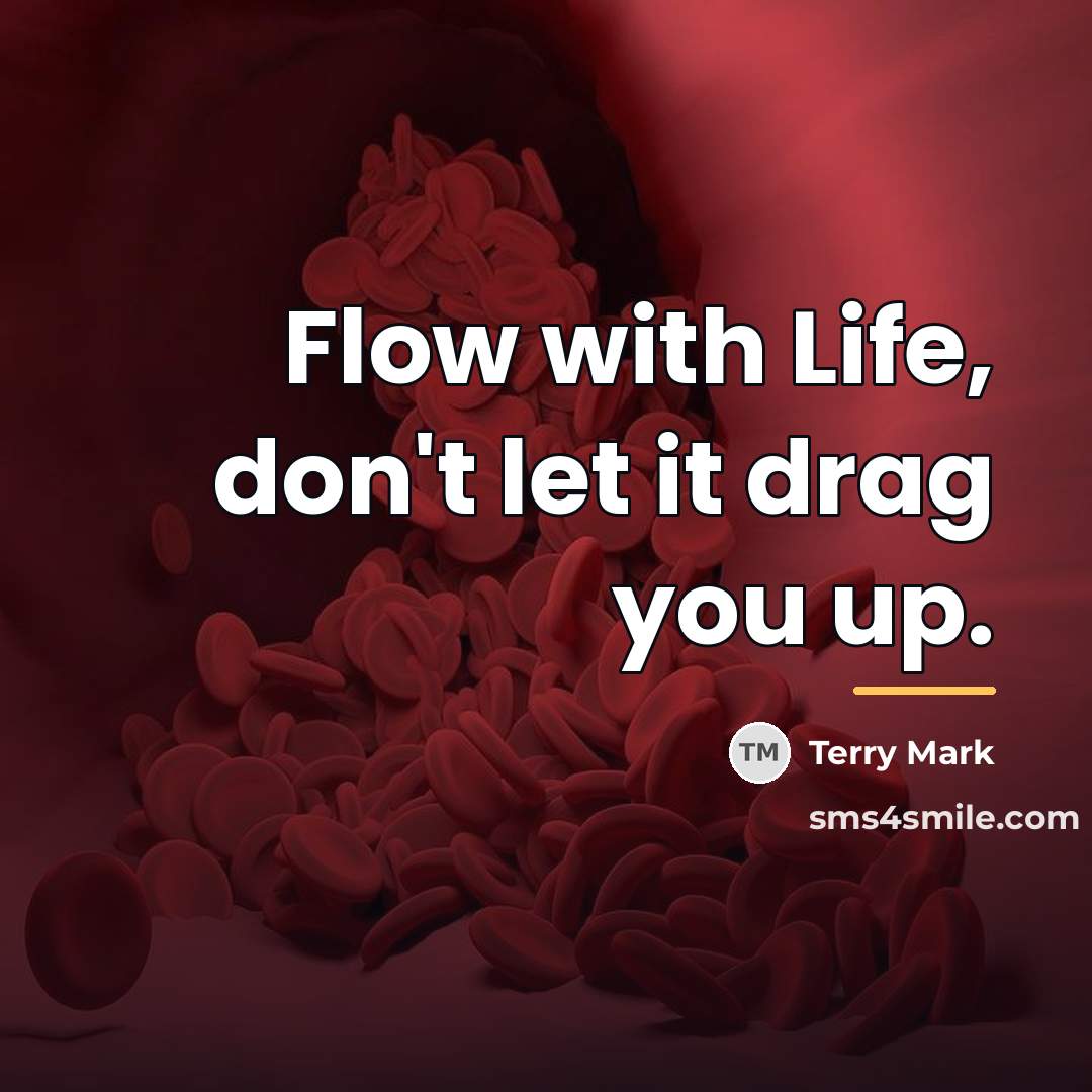“Flow with Life, don't let it drag you up.…” quote by Terry Mark