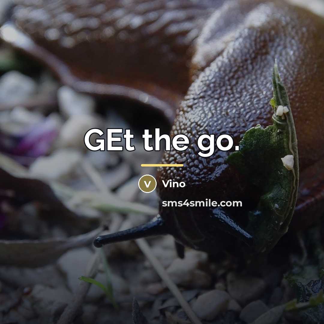 “GEt the go.…” quote by Vino