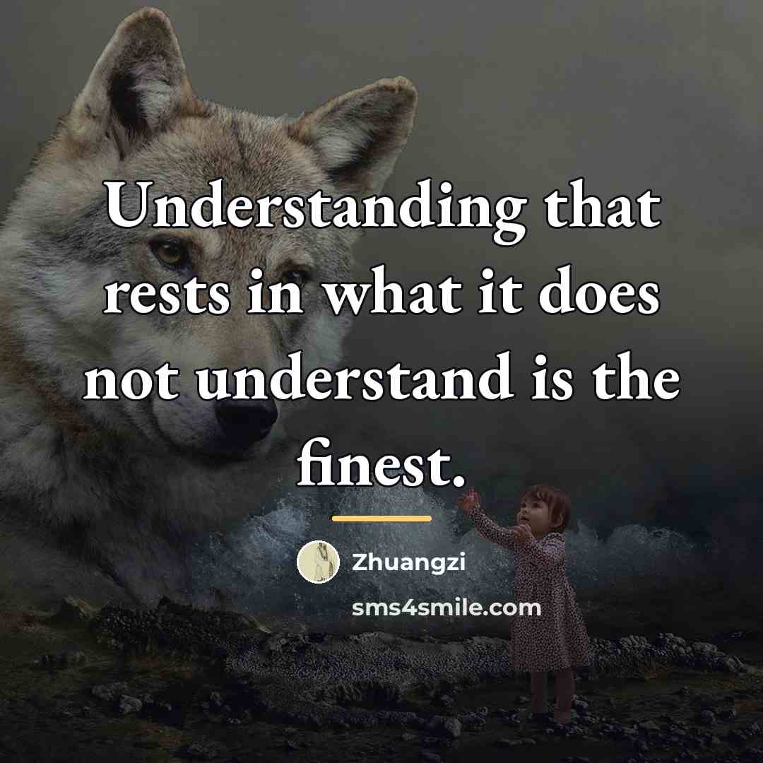 “Understanding that rests in what it does not understand is…” quote by Zhuangzi