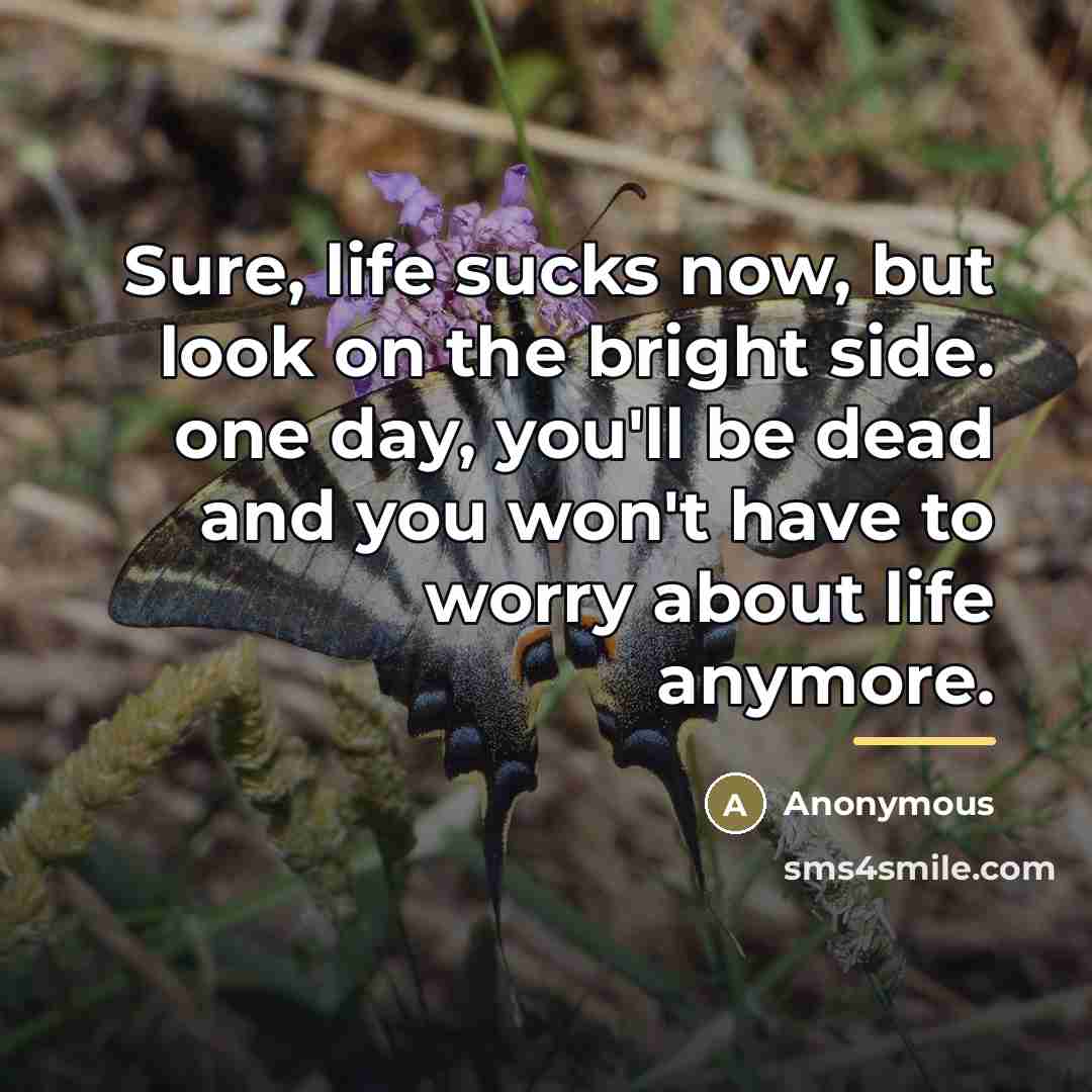 “Sure, life sucks now, but look on the bright side.…” quote by Anonymous