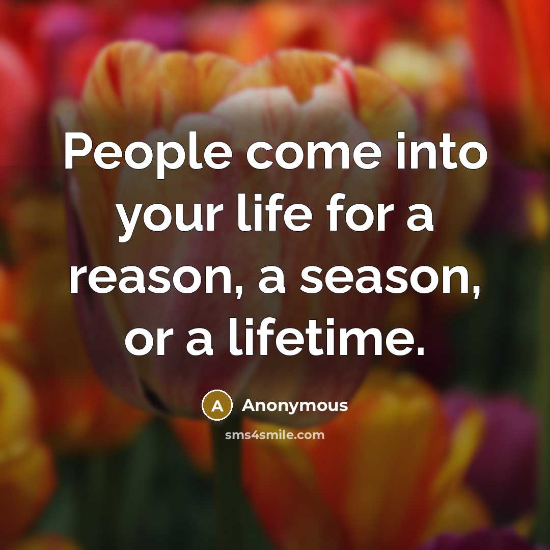 “People come into your life for a reason, a season, or a lifetime.” quote by Anonymous