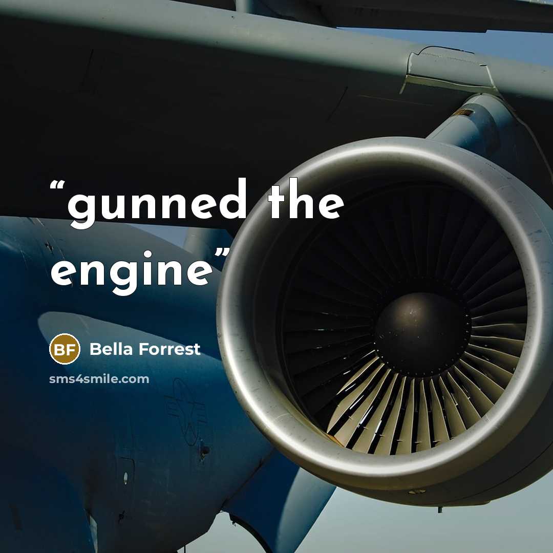“gunned the engine” quote by Bella Forrest