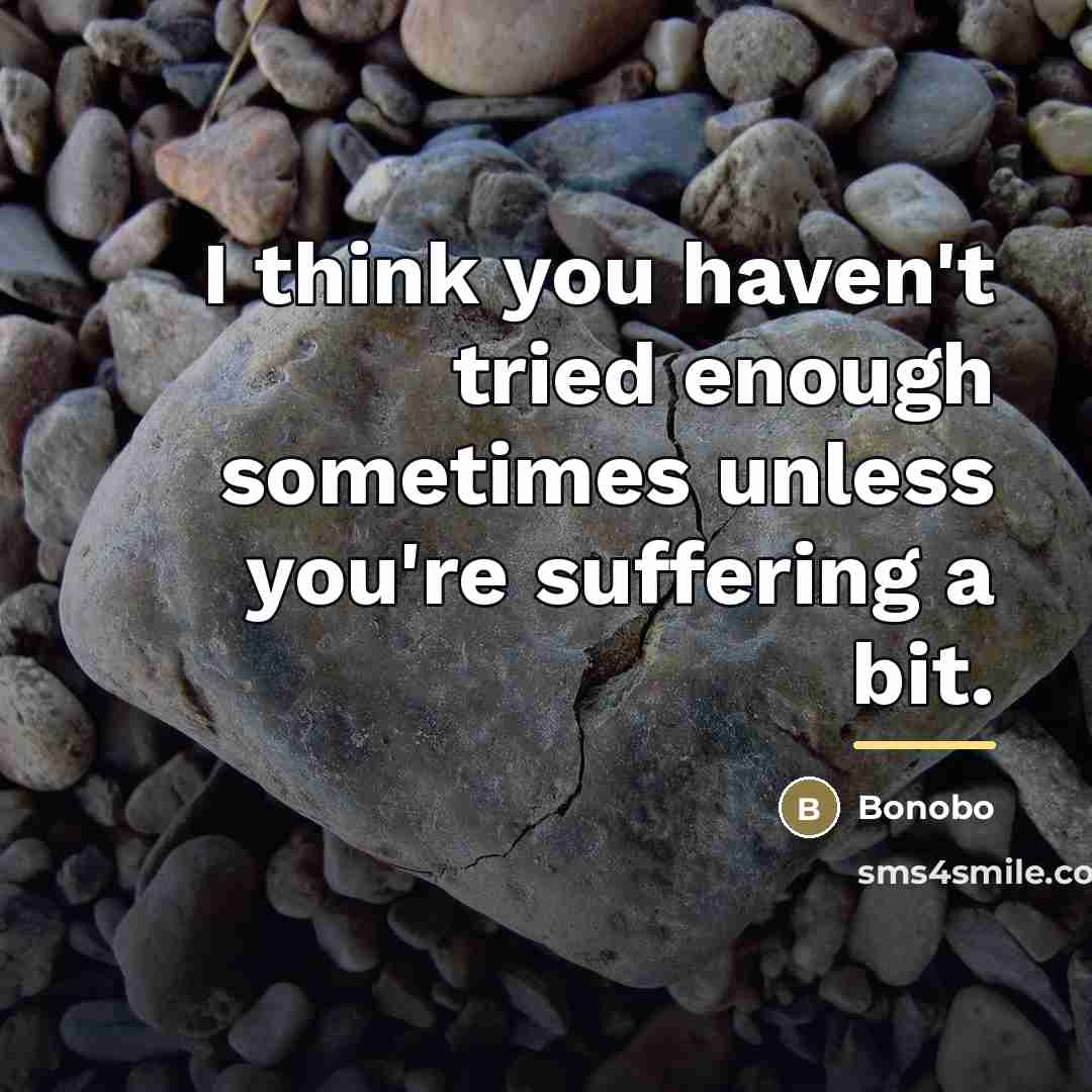 “I think you haven't tried enough sometimes unless you're suffering…” quote by Bonobo