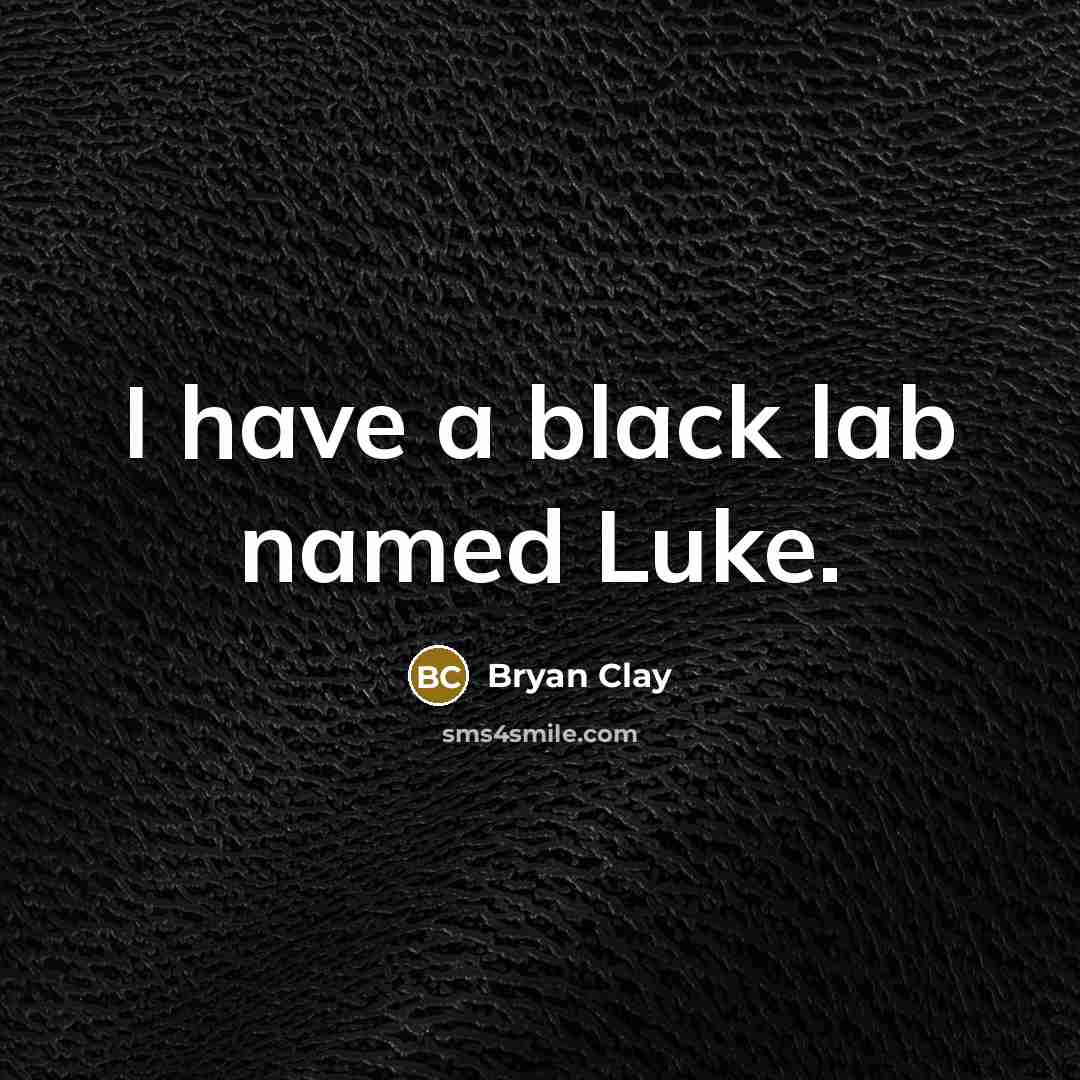 “I have a black lab named Luke.…” quote by Bryan Clay