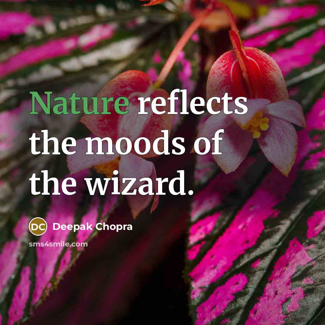 “Nature reflects the moods of the wizard.…” quote by Deepak Chopra