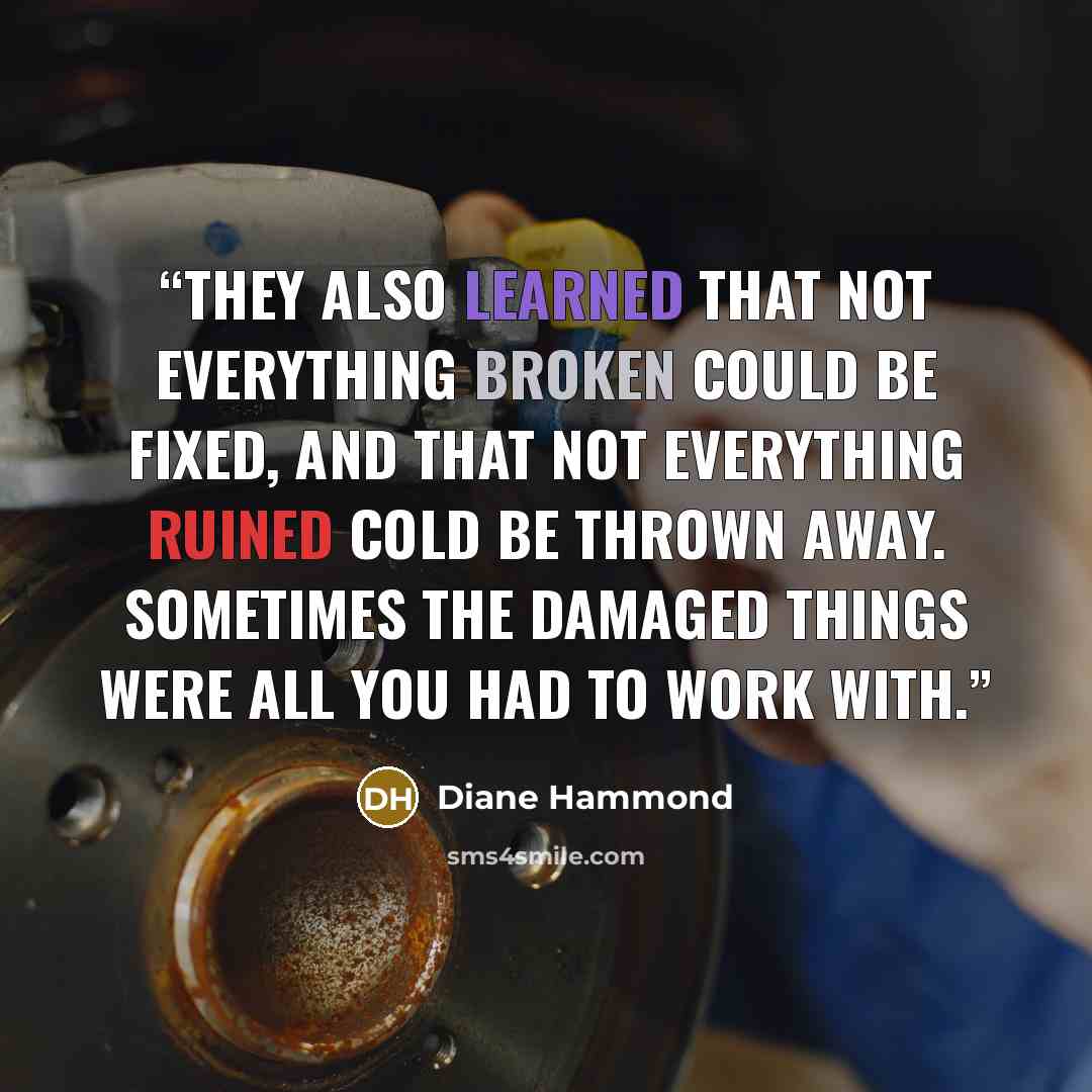 “They also learned that not everything broken could be fixed, and that not everything ruined cold be thrown away. Sometimes the damaged things were all you had to work with.” quote by Diane Hammond