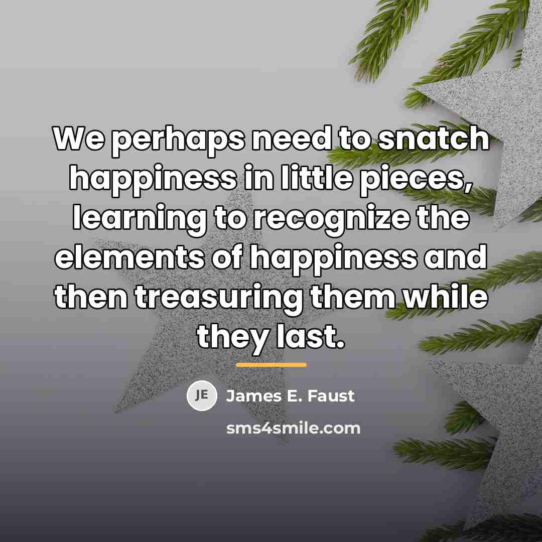 “We perhaps need to snatch happiness in little pieces, learning…” quote by James E. Faust