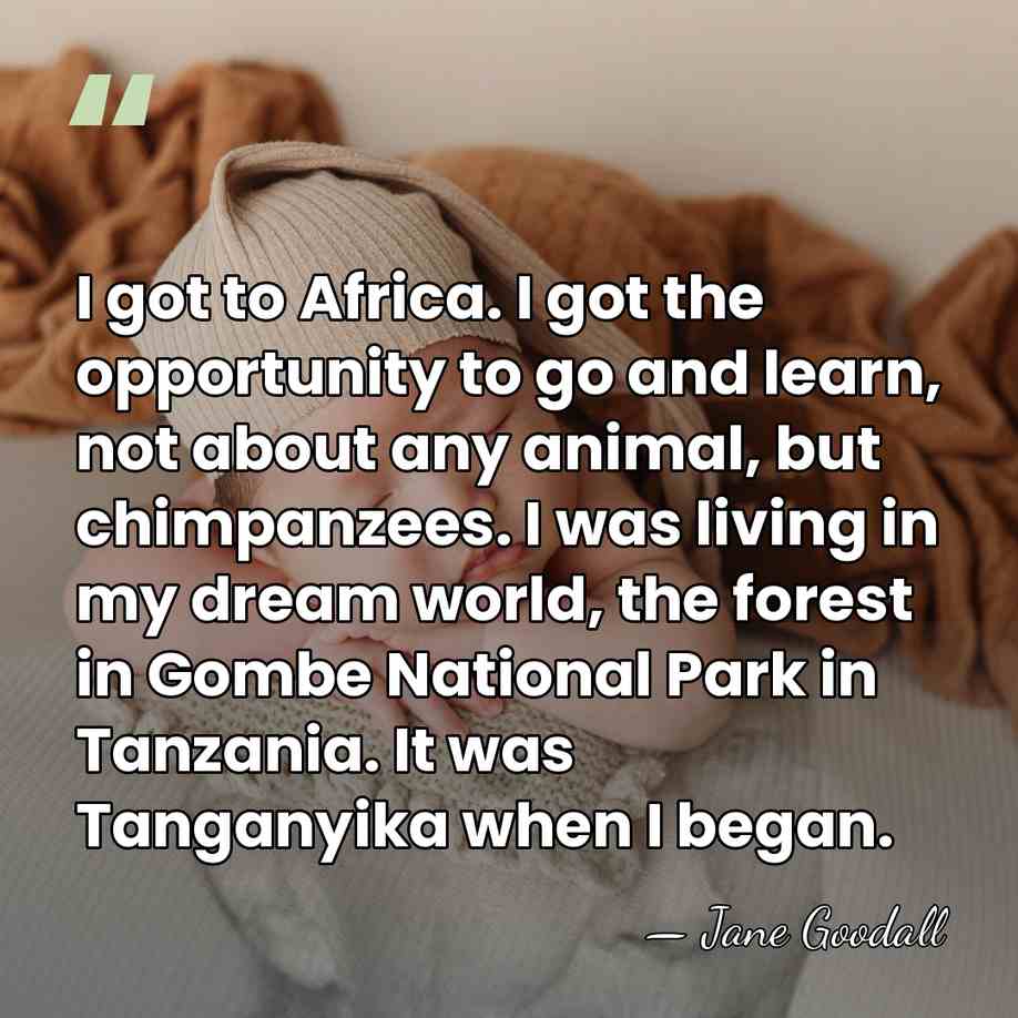 I got to Africa. I got the opportunity to go and learn,&hellip; - Jane Goodall
