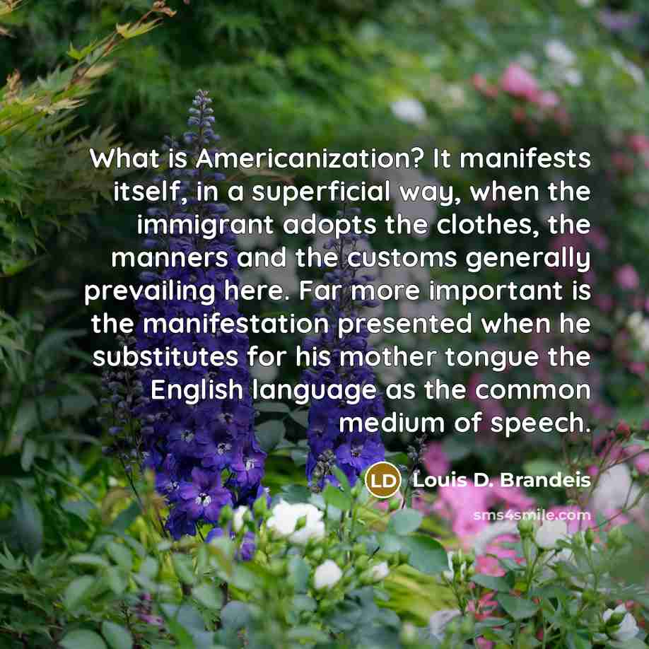“What is Americanization? It manifests itself, in a superficial way,…” quote by Louis D. Brandeis