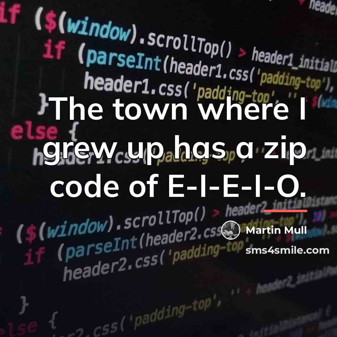 “The town where I grew up has a zip code…” quote by Martin Mull