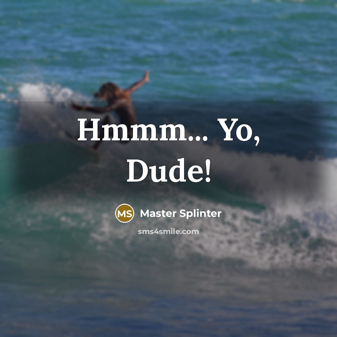 “Hmmm... Yo, Dude!” quote by Master Splinter