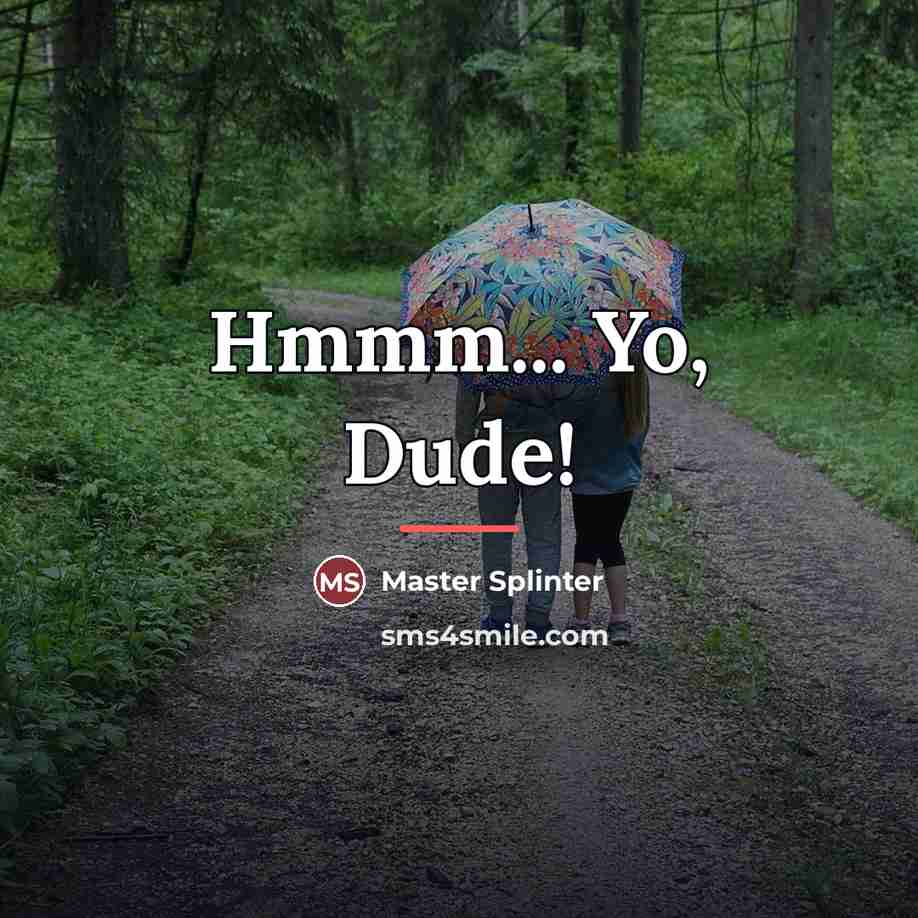 “Hmmm... Yo, Dude!…” quote by Master Splinter