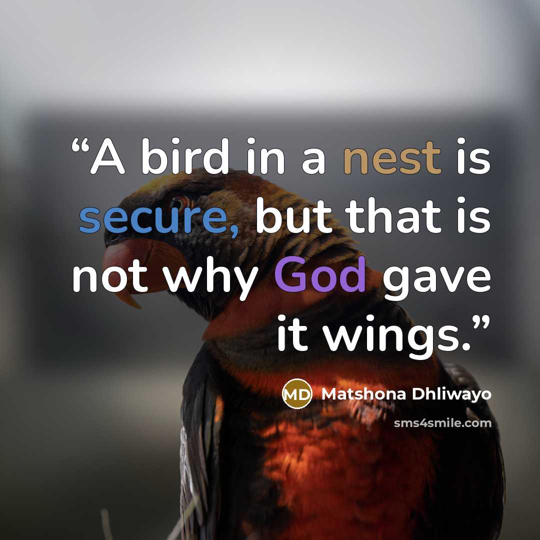 “A bird in a nest is secure, but that is not why God gave it wings.” quote by Matshona Dhliwayo