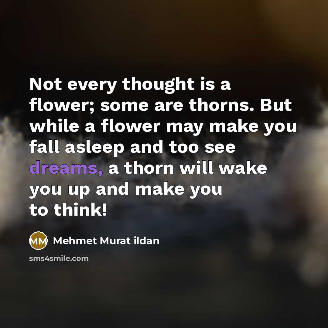 “Not every thought is a flower; some are thorns. But…” quote by Mehmet Murat Ildan