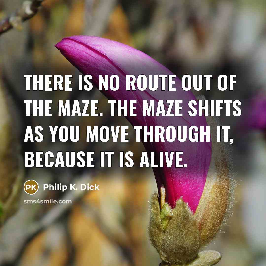 “There is no route out of the maze. The maze…” quote by Philip K. Dick