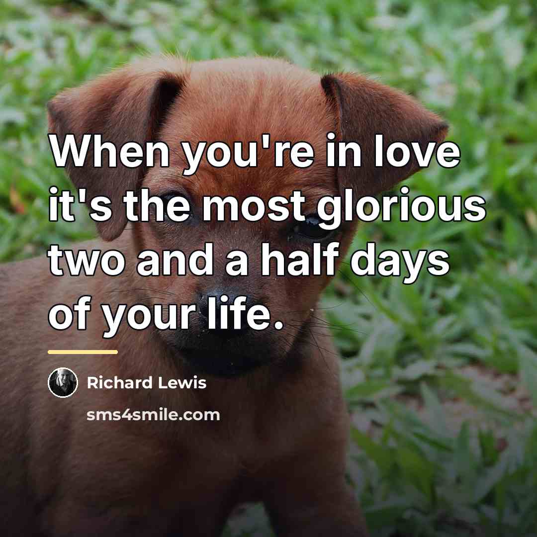 “When you're in love it's the most glorious two and…” quote by Richard Lewis