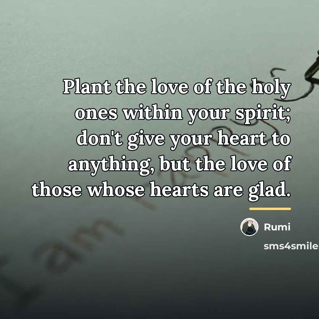 “Plant the love of the holy ones within your spirit;…” quote by Rumi