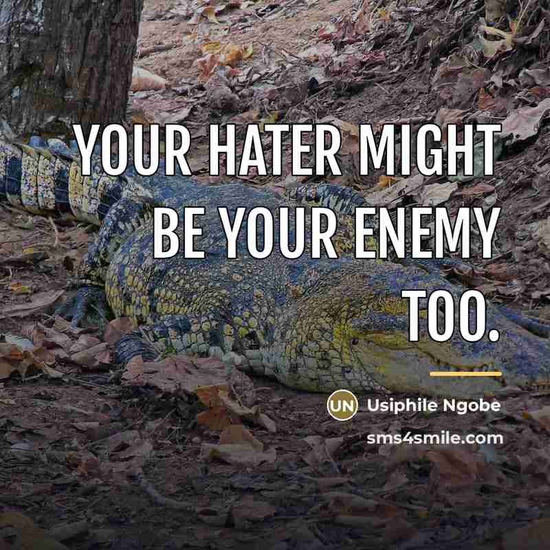 “Your hater might be your enemy too.…” quote by Usiphile Ngobe