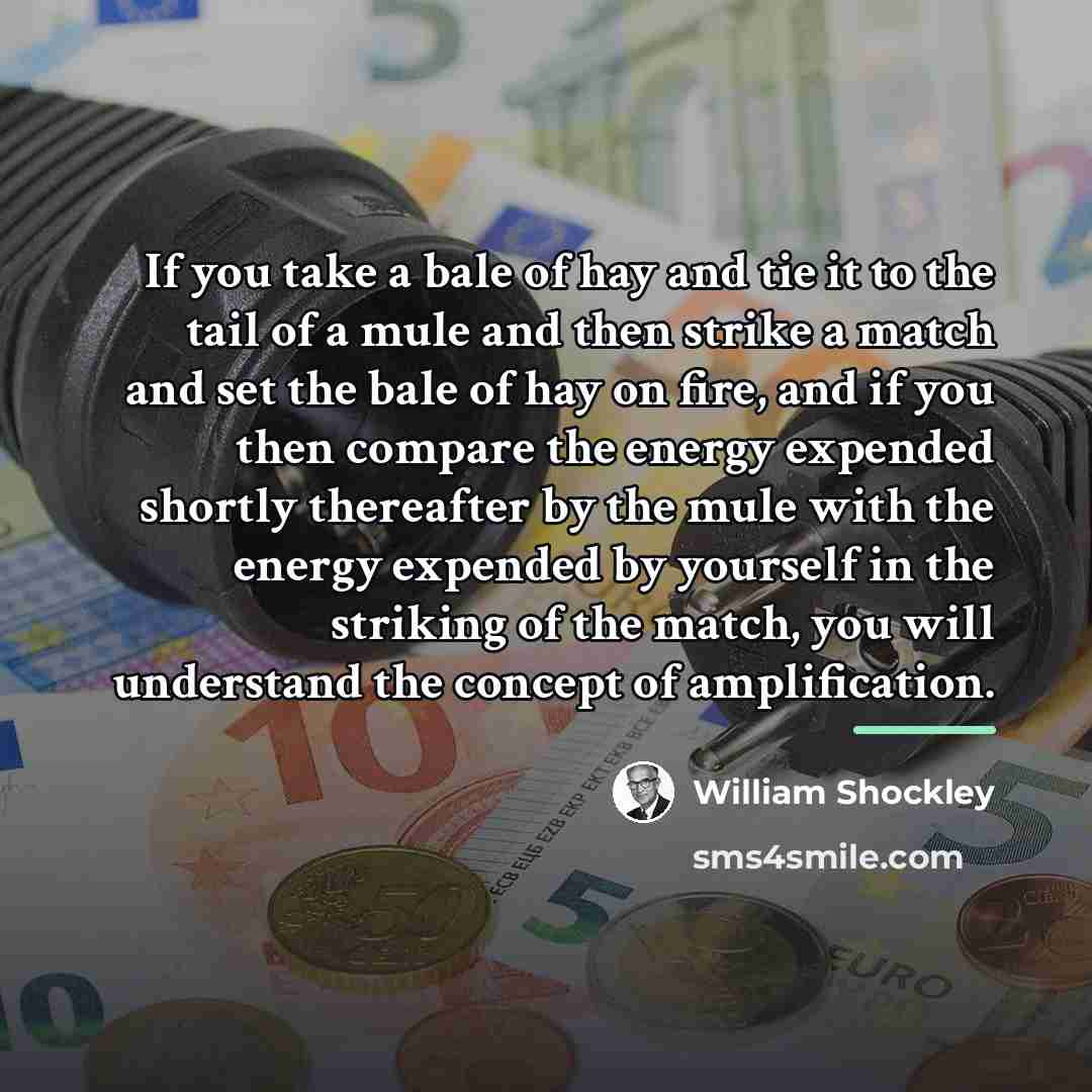 “If you take a bale of hay and tie it…” quote by William Shockley