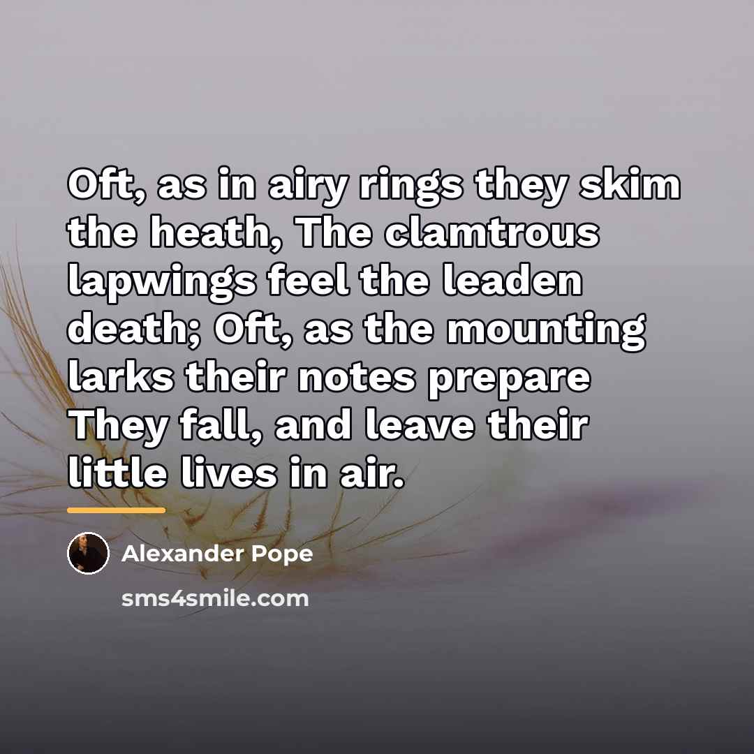“Oft, as in airy rings they skim the heath, The…” quote by Alexander Pope