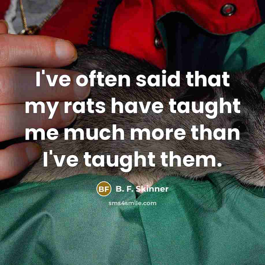“I've often said that my rats have taught me much…” quote by B. F. Skinner