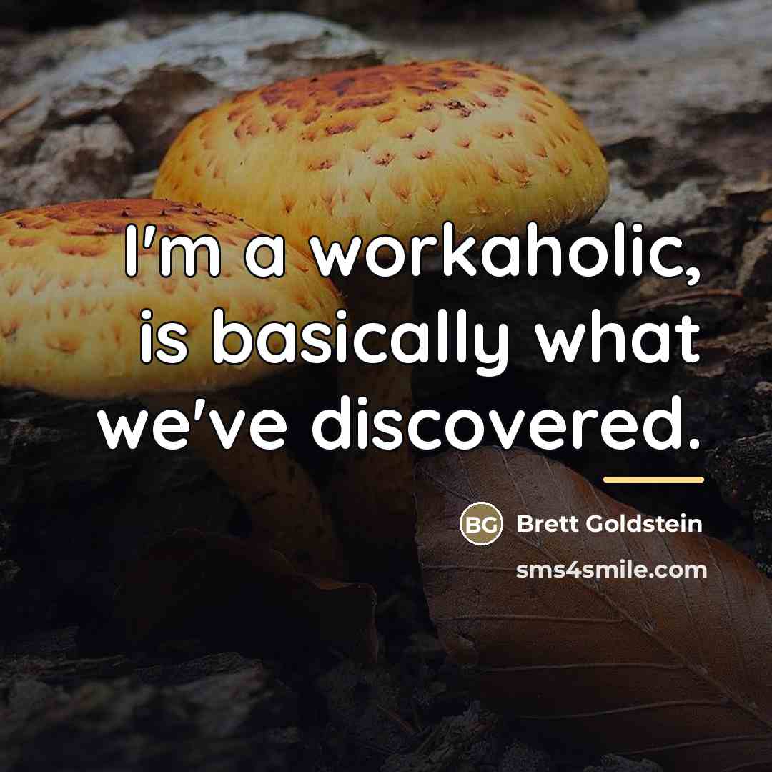 “I'm a workaholic, is basically what we've discovered.…” quote by Brett Goldstein