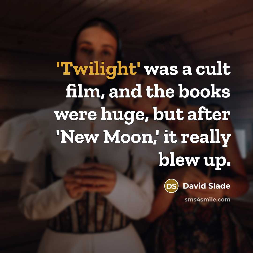 “'Twilight' was a cult film, and the books were huge,…” quote by David Slade