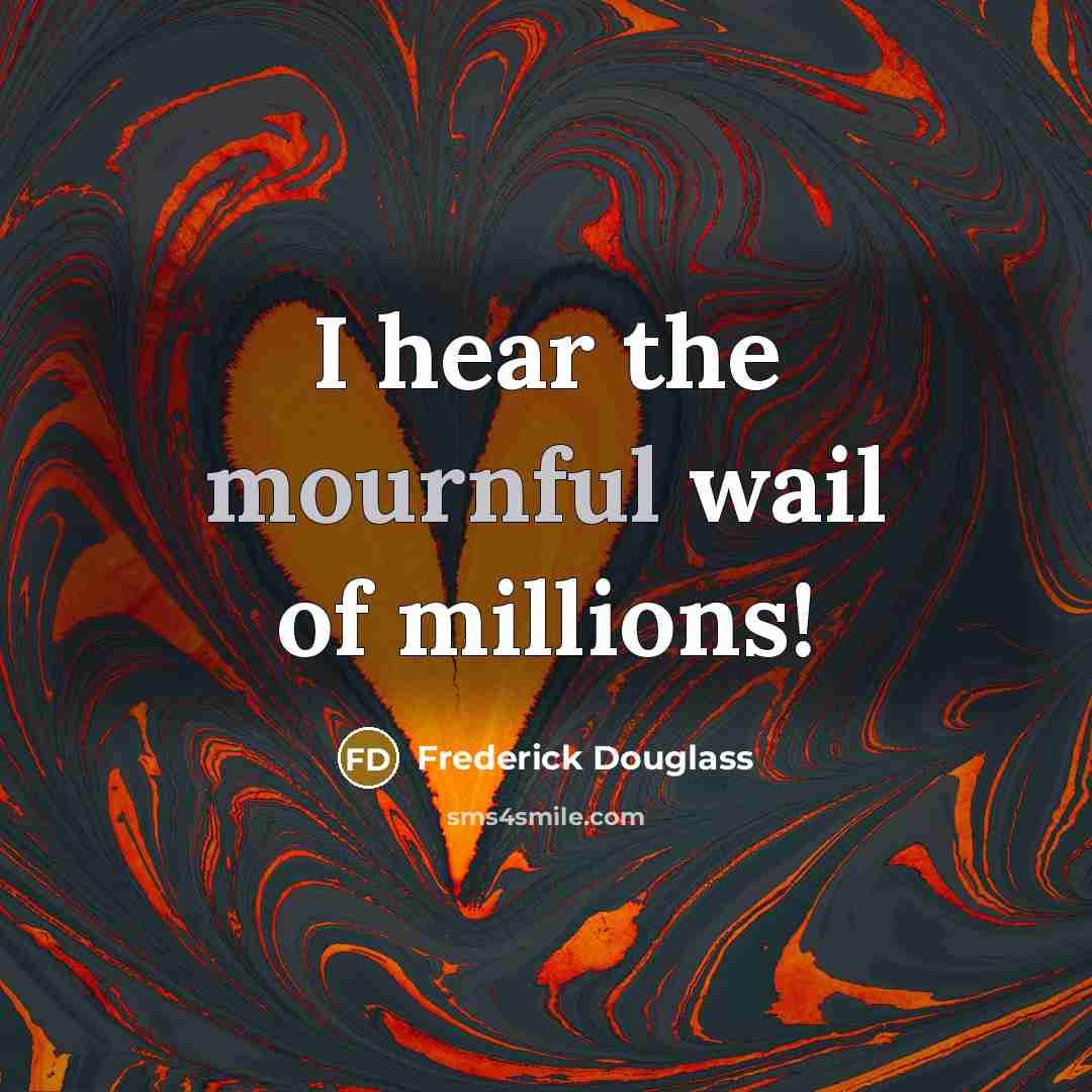 “I hear the mournful wail of millions!…” quote by Frederick Douglass
