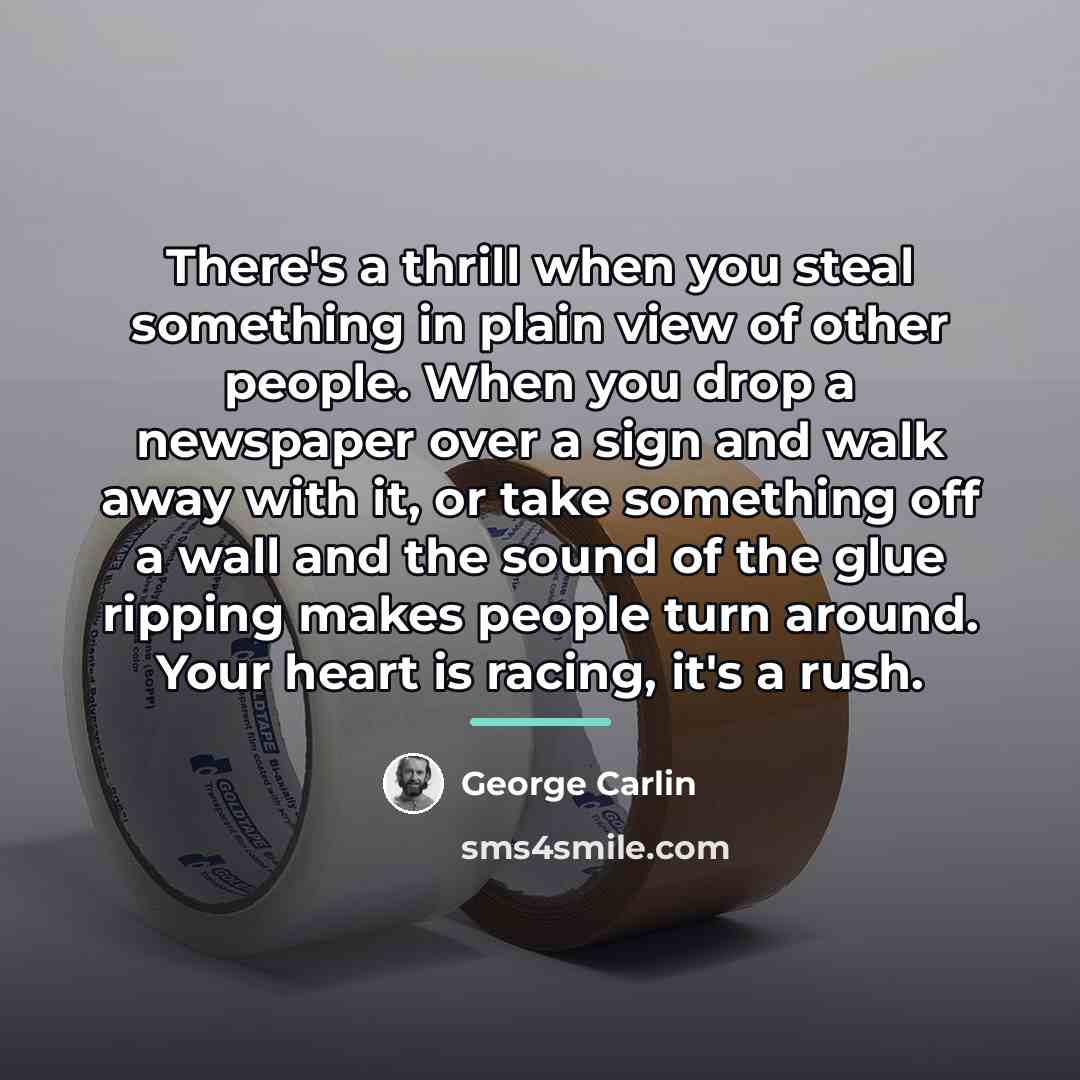 “There's a thrill when you steal something in plain view…” quote by George Carlin