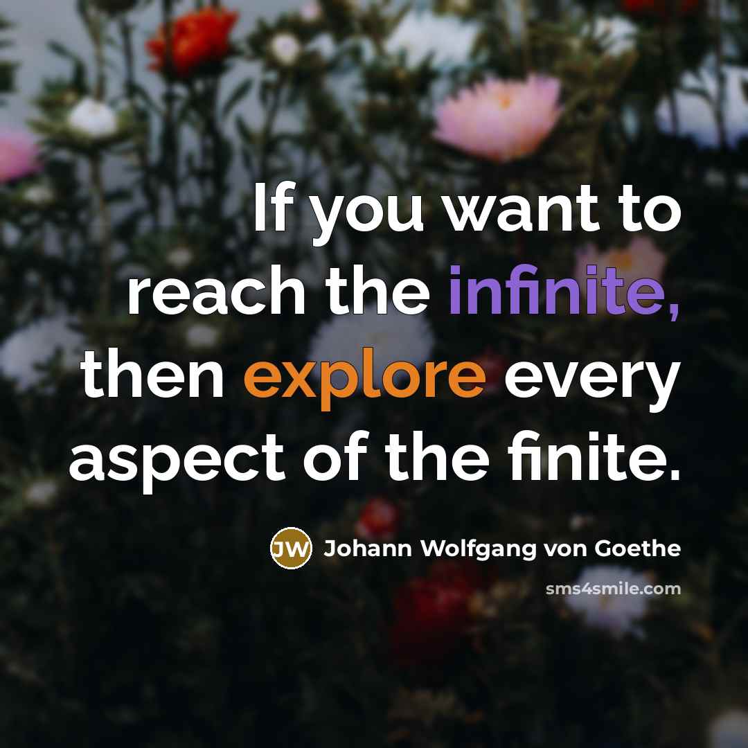 “If you want to reach the infinite, then explore every…” quote by Johann Wolfgang von Goethe