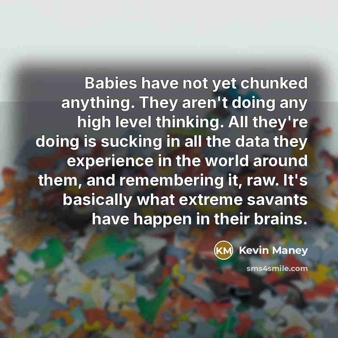 “Babies have not yet chunked anything. They aren't doing any…” quote by Kevin Maney