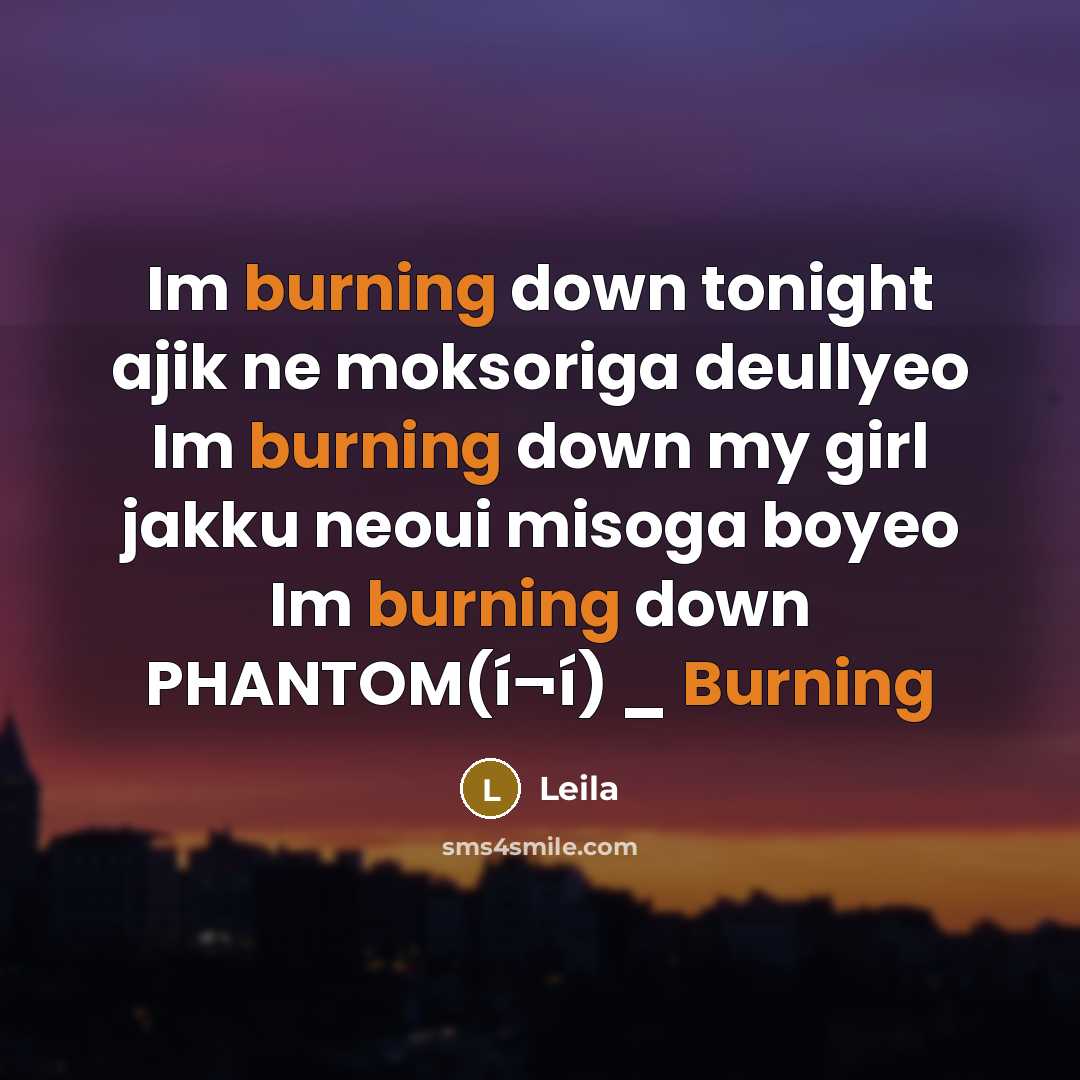 “Im burning down tonight ajik ne moksoriga deullyeo Im burning…” quote by Leila
