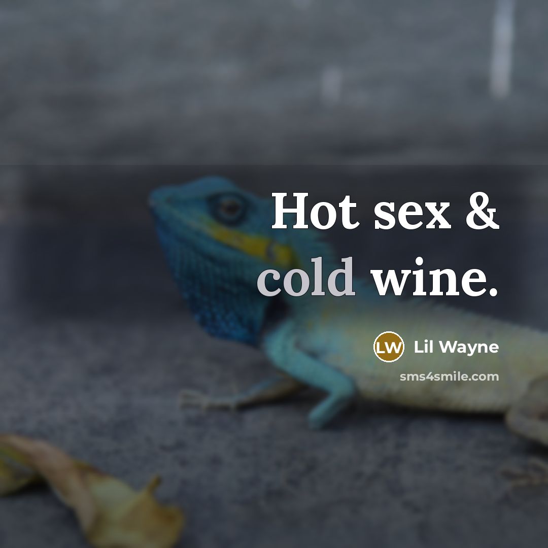 “Hot sex & cold wine.…” quote by Lil Wayne