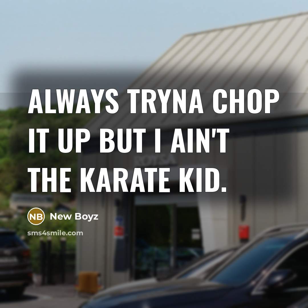 “Always tryna chop it up but I ain't the karate kid.” quote by New Boyz