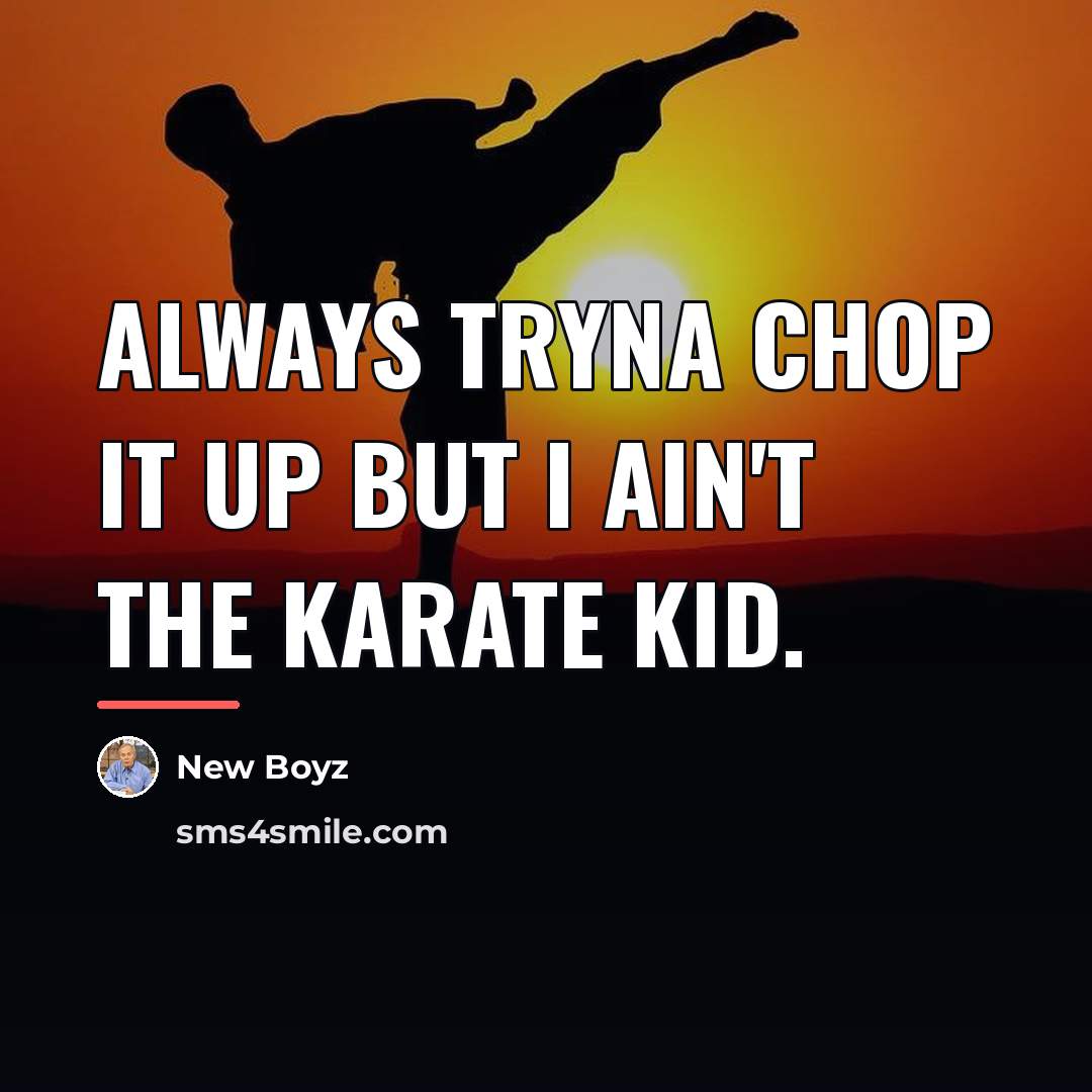 “Always tryna chop it up but I ain't the karate…” quote by New Boyz