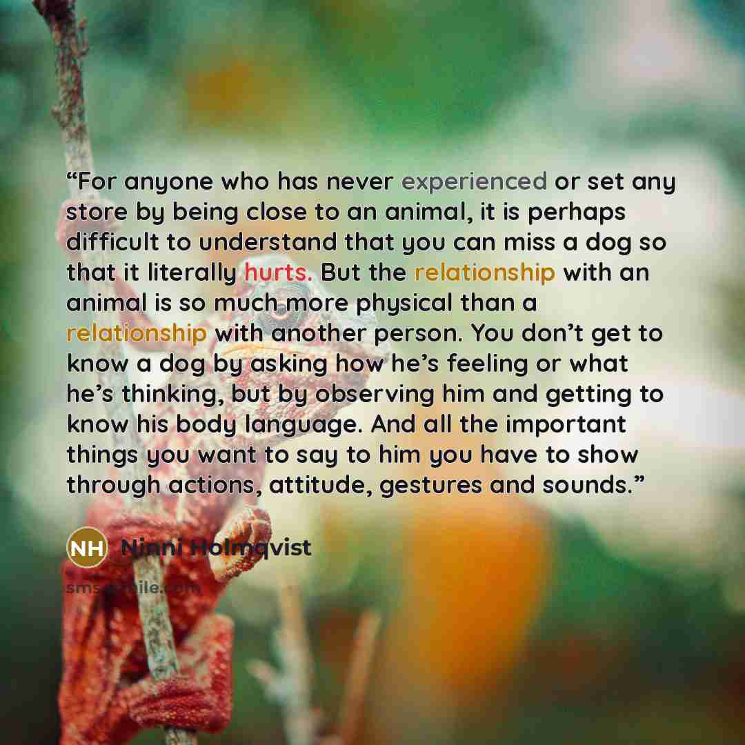 “For anyone who has never experienced or set any store by being close to an animal, it is perhaps difficult to understand that you can miss a dog so that it literally hurts. But the relationship with an animal is so much more physical than a relationship with another person. You don’t get to know a…” quote by Ninni Holmqvist
