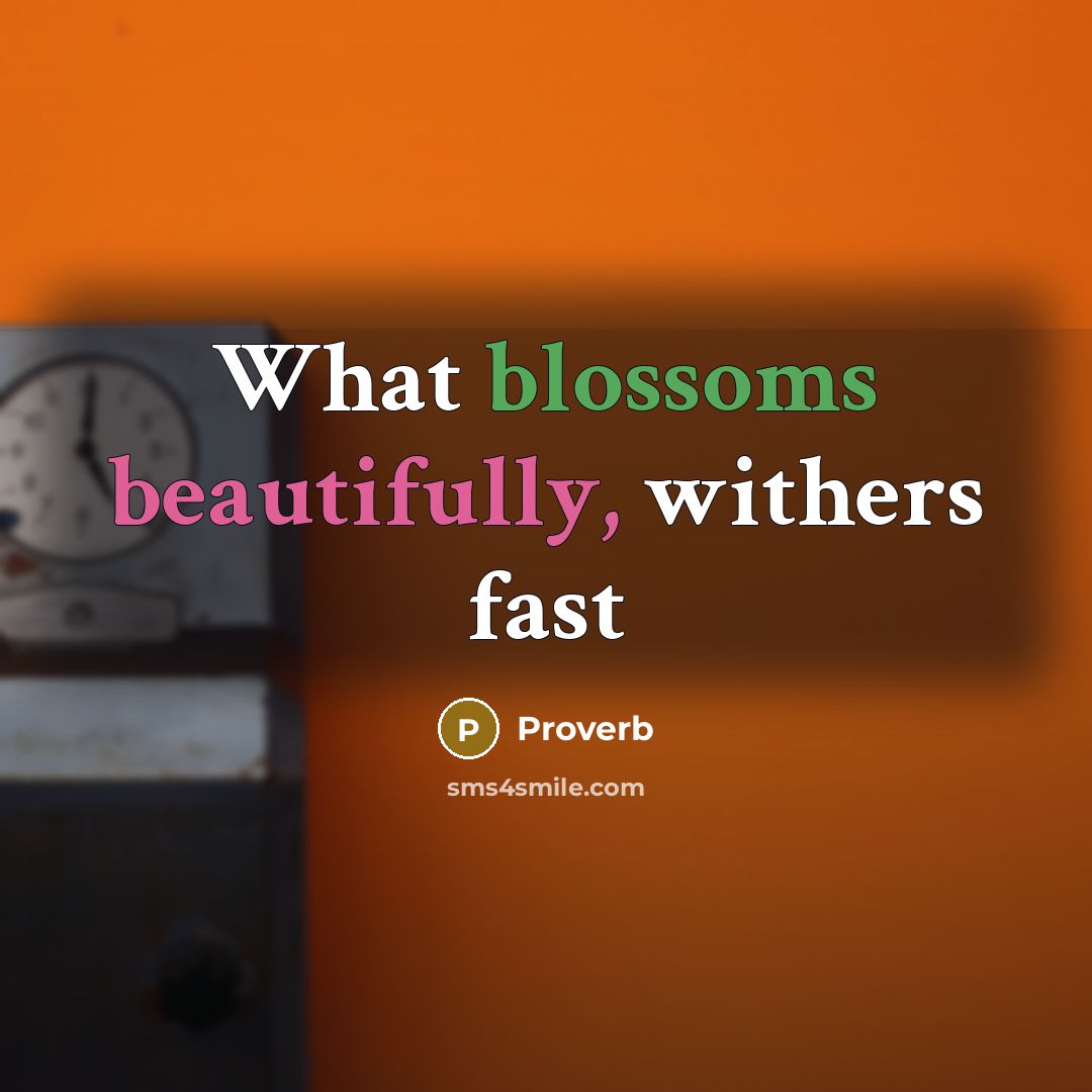 “What blossoms beautifully, withers fast” quote by Proverb