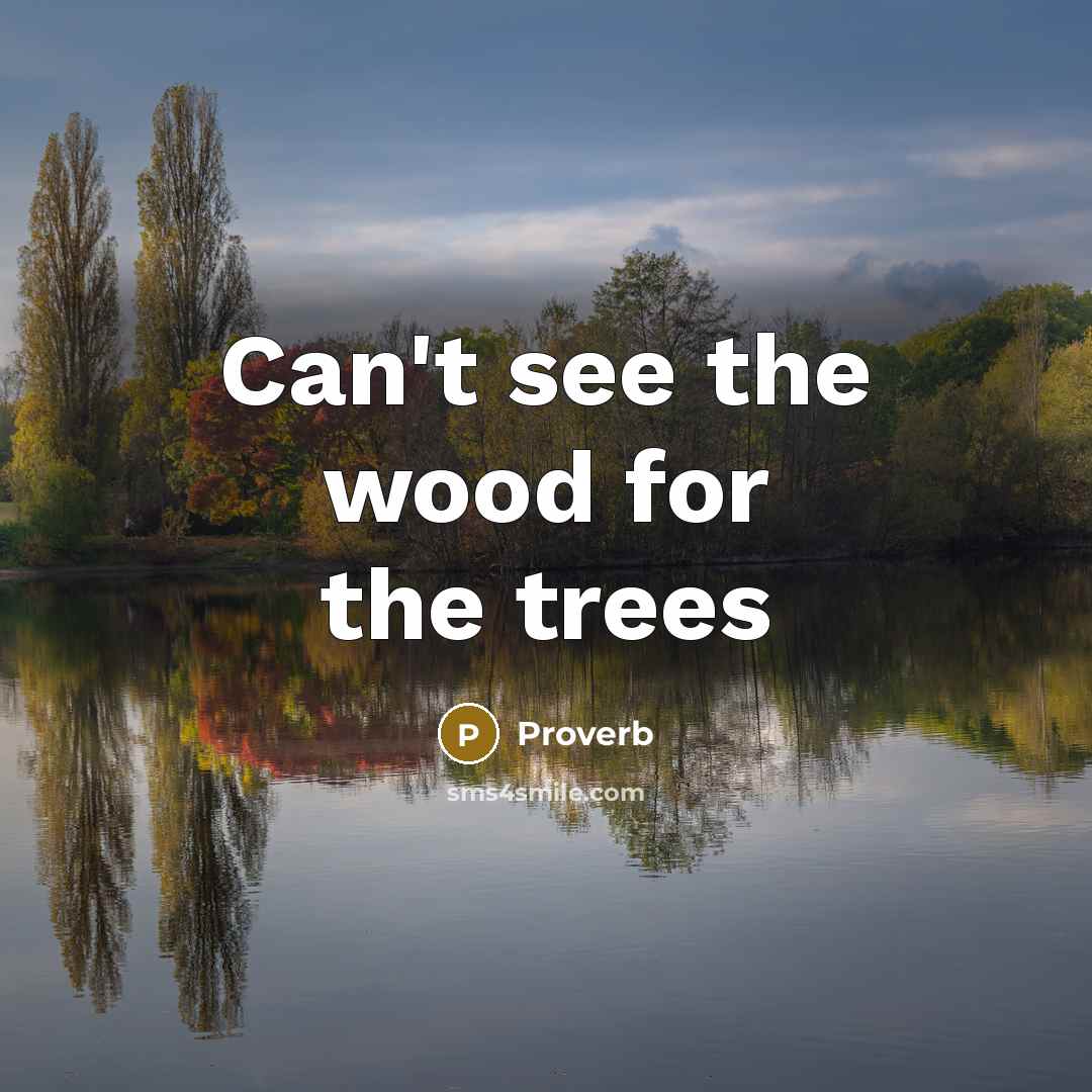 “Can't see the wood for the trees” quote by Proverb