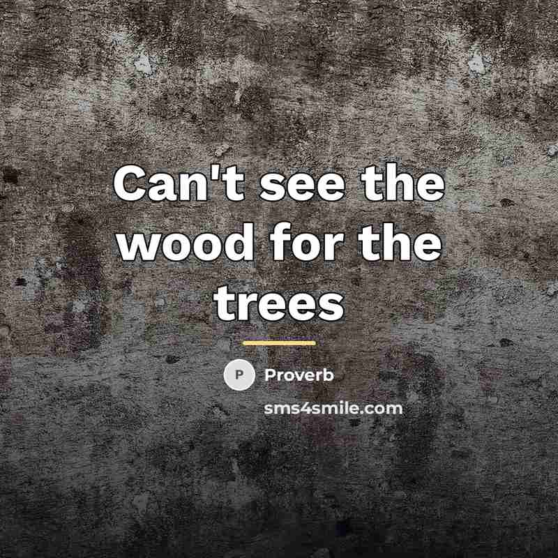 “Can't see the wood for the trees…” quote by Proverb
