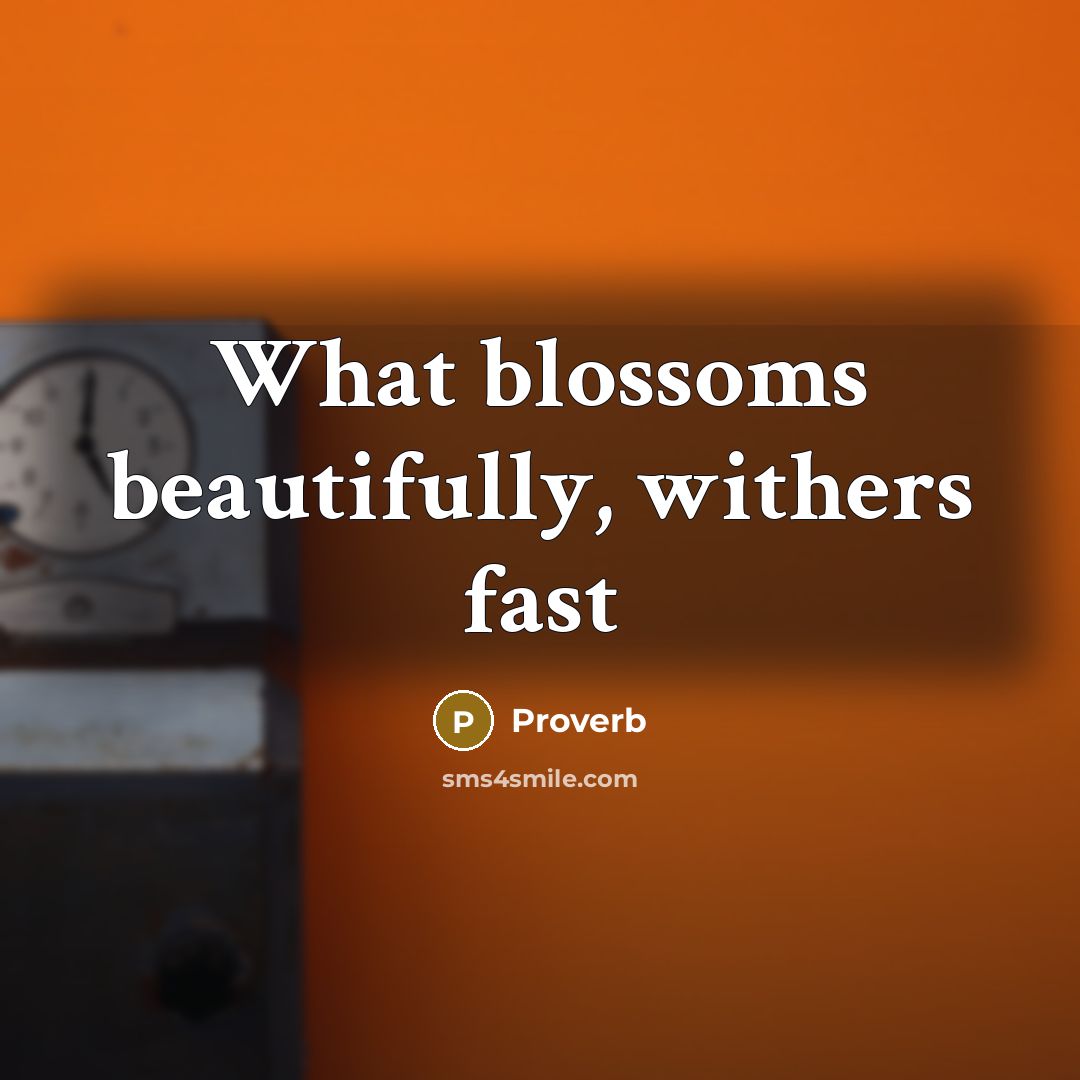 “What blossoms beautifully, withers fast…” quote by Proverb