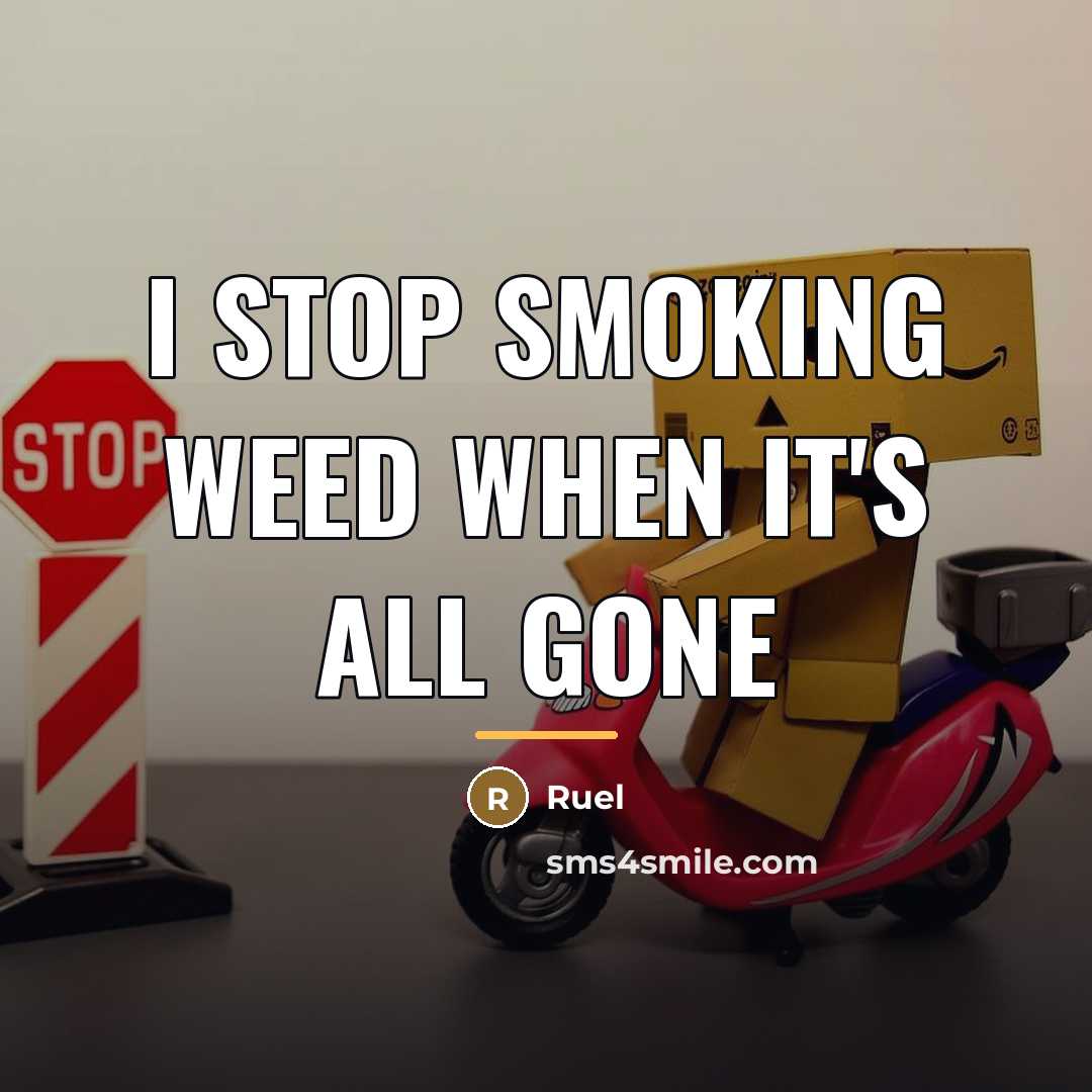 “I stop smoking weed when it's all gone…” quote by Ruel