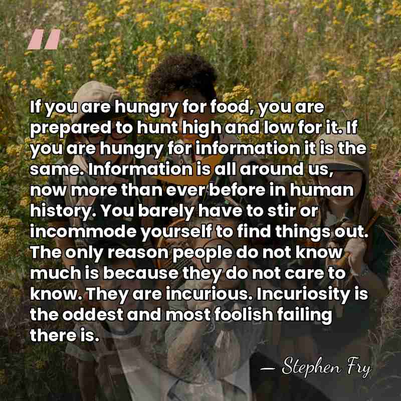 If you are hungry for food, you are prepared to hunt high&hellip; - Stephen Fry